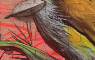 WallPainting_LowickMNRfeatAbns_Vaucluse(1)